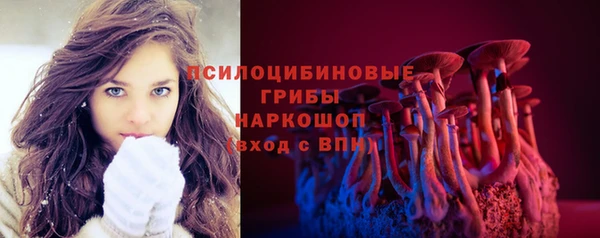гидропоника Белокуриха