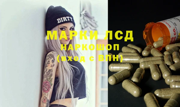 гидропоника Белокуриха